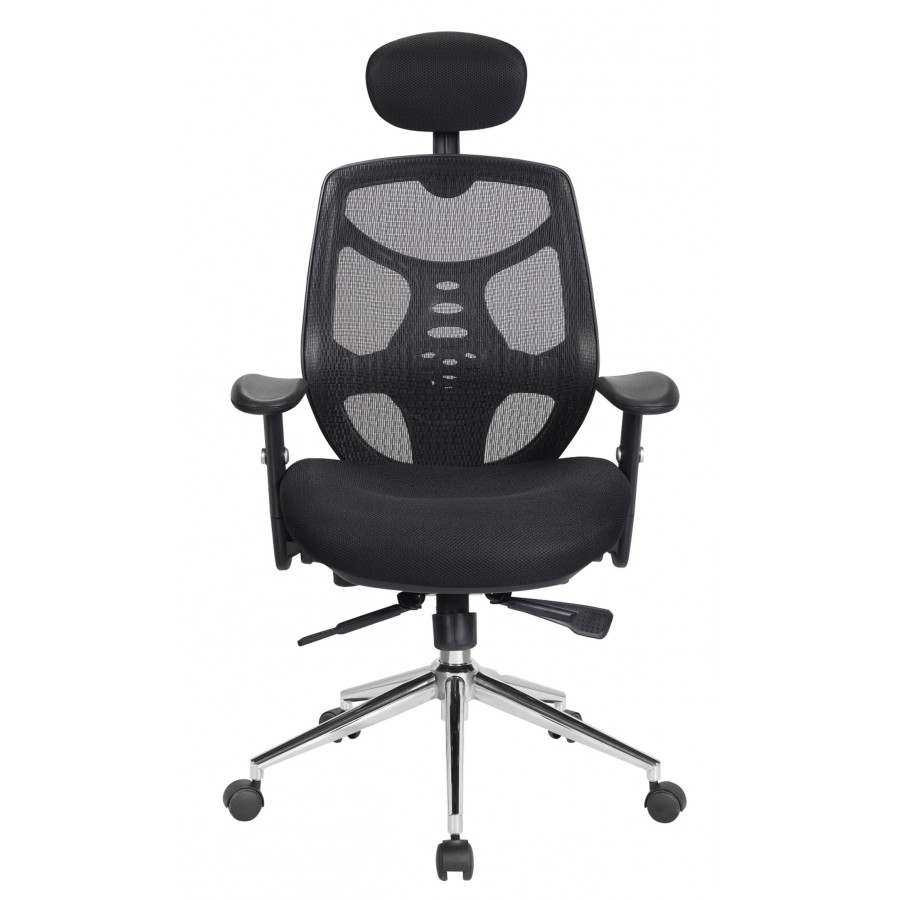 Polaris Mesh Executive Office Chair